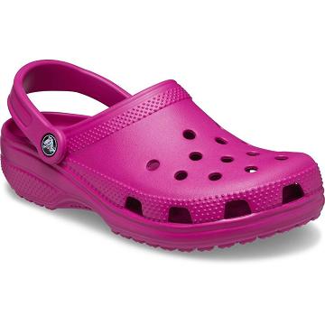 Crocs Classic Clog Men's Shoes Purple | Australia 0682YXFU